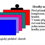 Aktivní imunitní systém I. díl